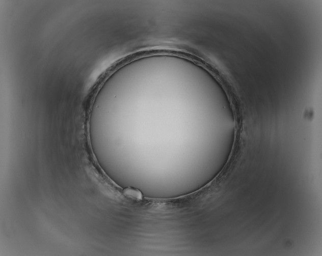X0000111481360200907281152