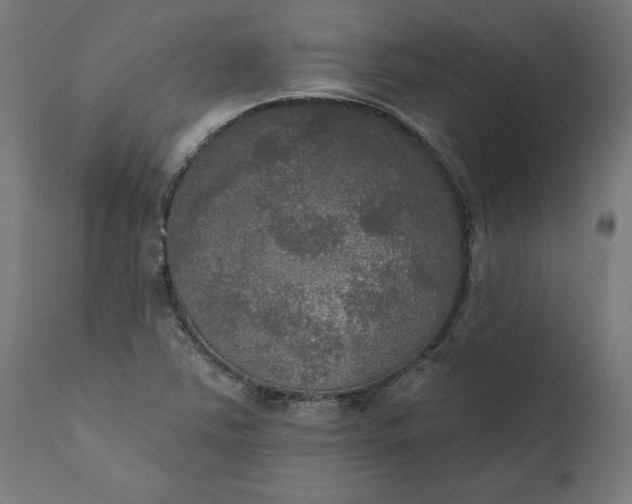 X0000111481363200907281152