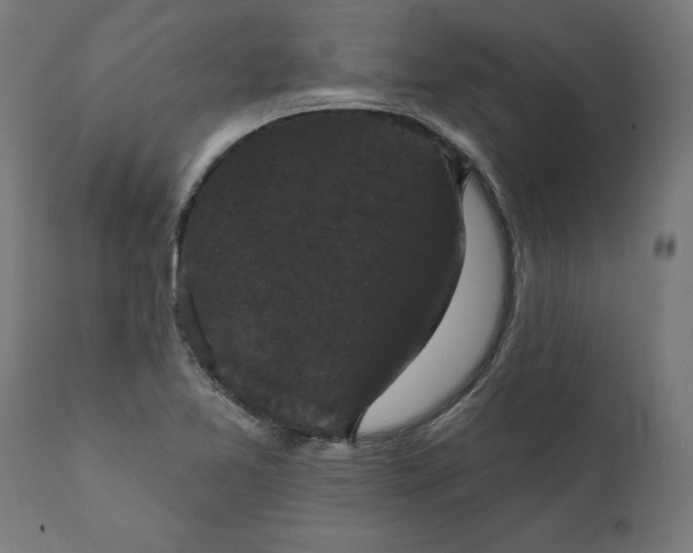 X0000111481365200907281152