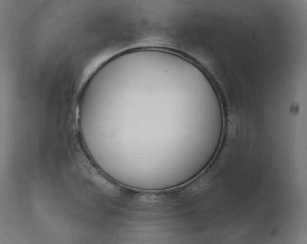 X0000111481366200907281152