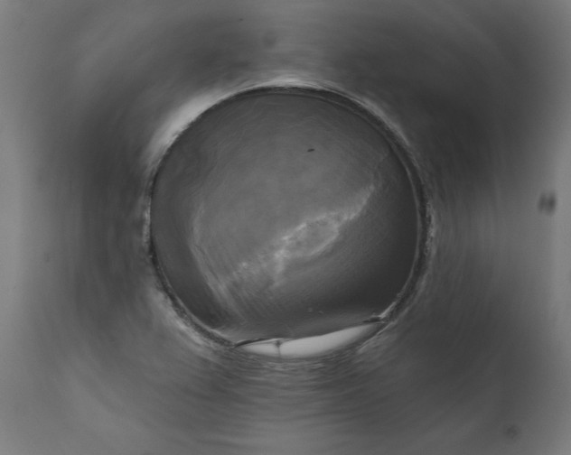 X0000111481367200907281152