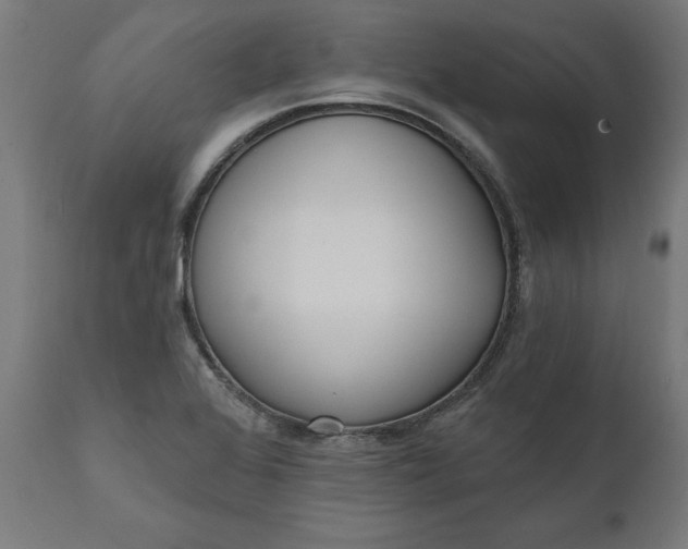 X0000111481368200907281152