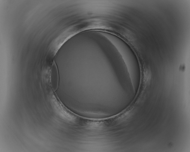 X0000111481369200907281152