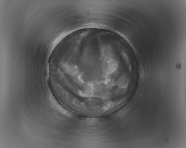 X0000111481371200907281152