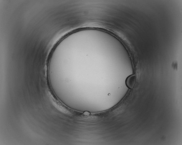 X0000111481372200907281152