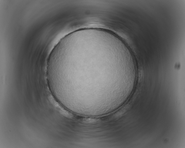 X0000111481374200907281152