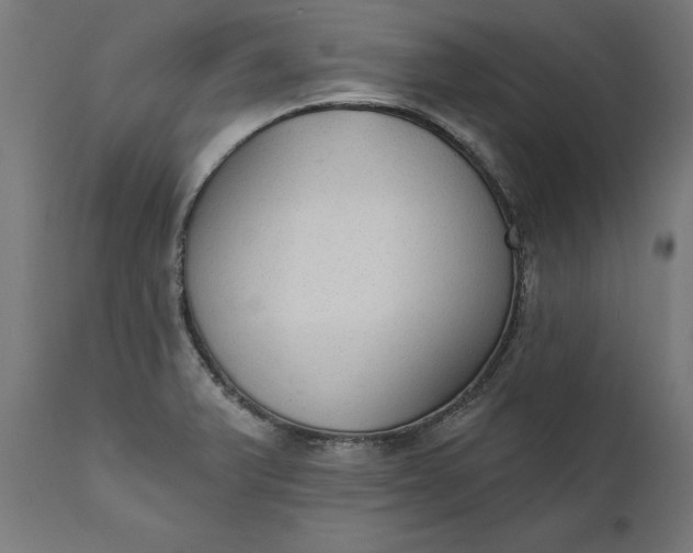 X0000111481375200907281152