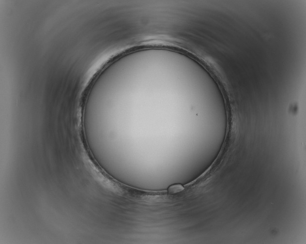 X0000111481376200907281152