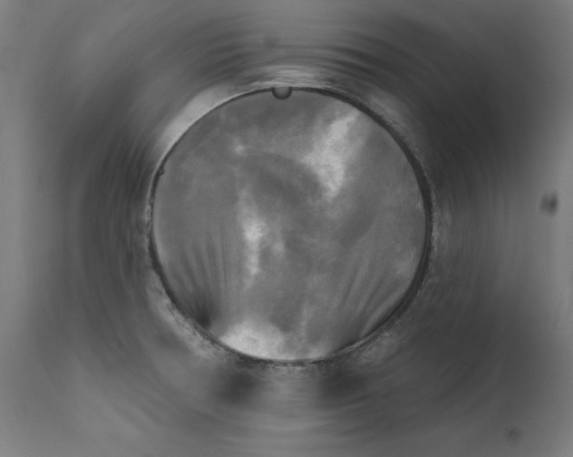 X0000111481378200907281152