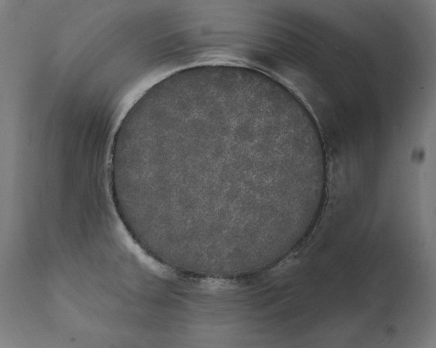 X0000111481379200907281152