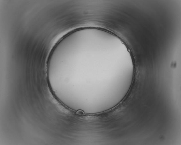 X0000111481380200907281152