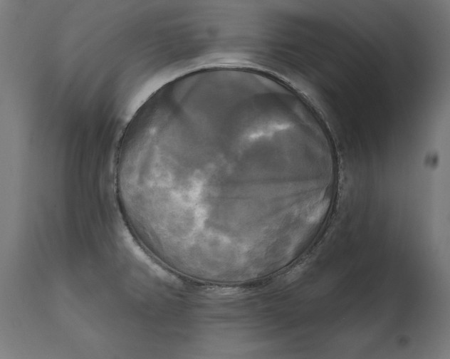X0000111481382200907281152