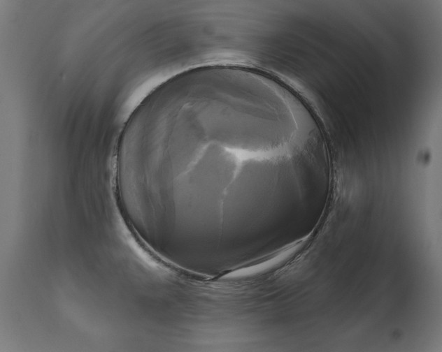 X0000111481383200907281152