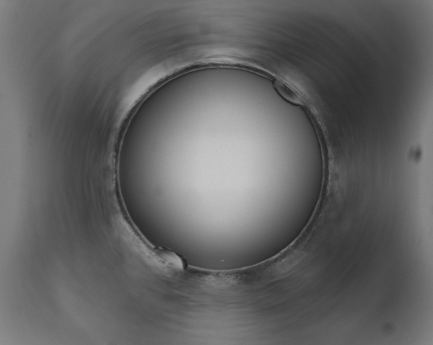 X0000111481384200907281152