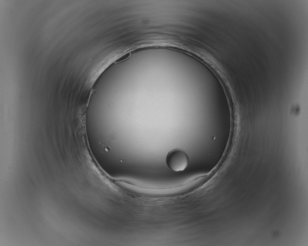 X0000111481385200907281152