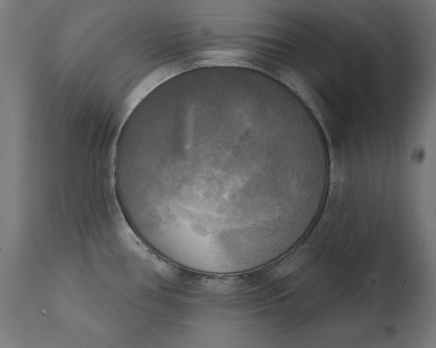 X0000111481386200907281152