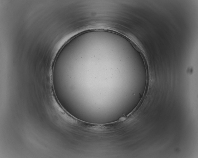 X0000111481388200907281152