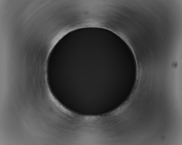 X0000111481389200907281152