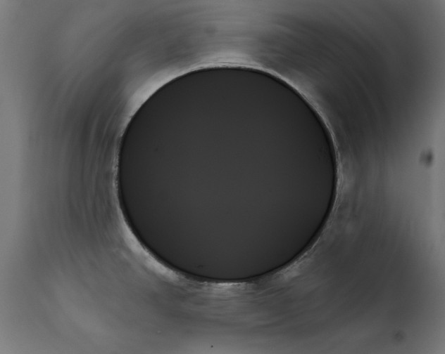 X0000111481390200907281152