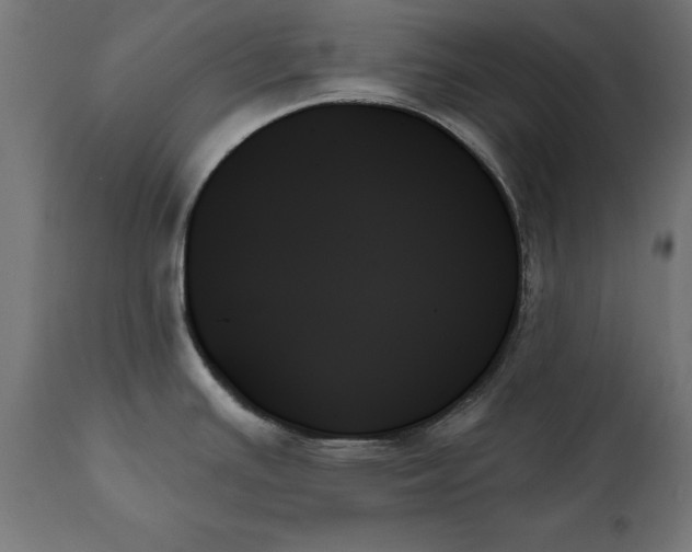 X0000111481391200907281152