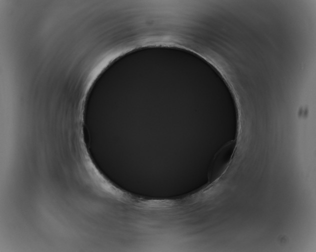 X0000111481392200907281152