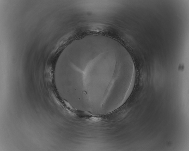 X0000111481394200907281151
