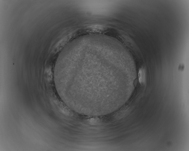 X0000111481395200907281151