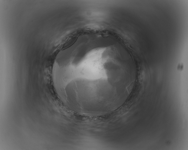 X0000111481397200907281151