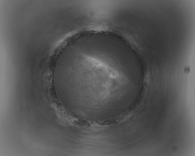 X0000111481398200907281151