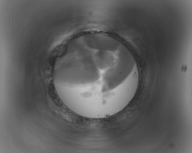 X0000111481399200907281151