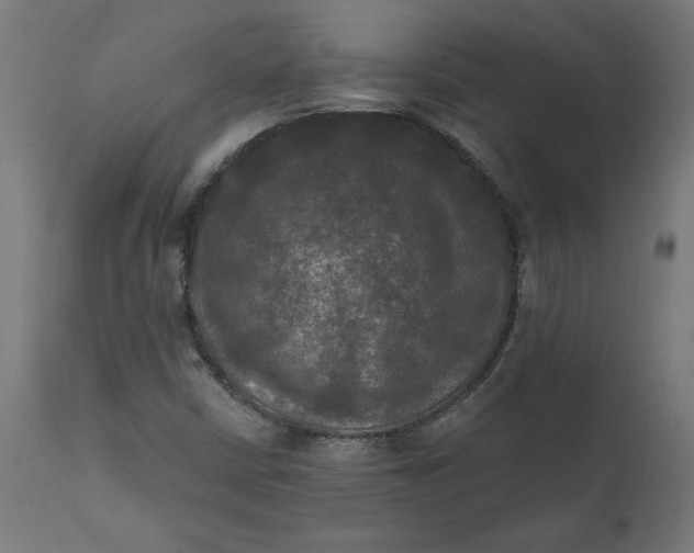 X0000111481402200907281151