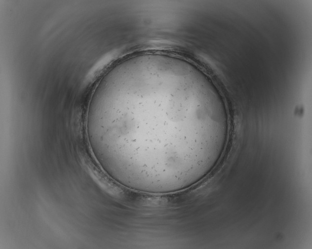 X0000111481403200907281151