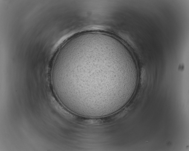 X0000111481404200907281151