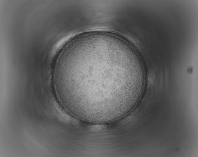 X0000111481406200907281152