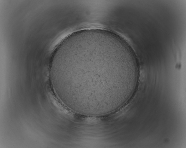 X0000111481407200907281152