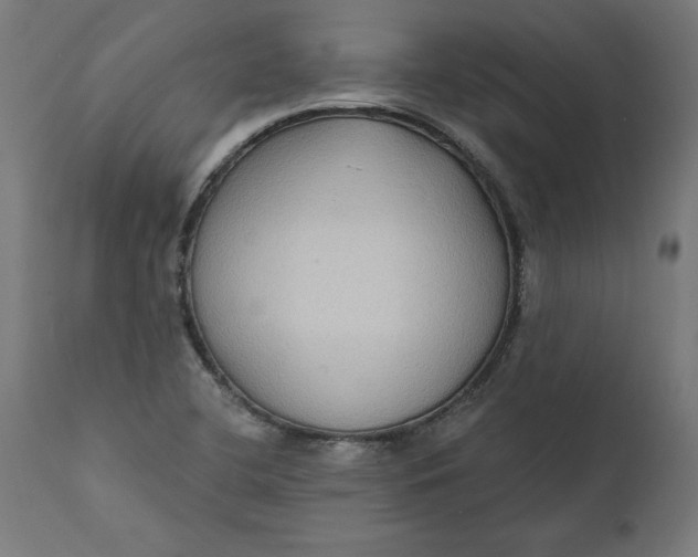 X0000111481412200907281152