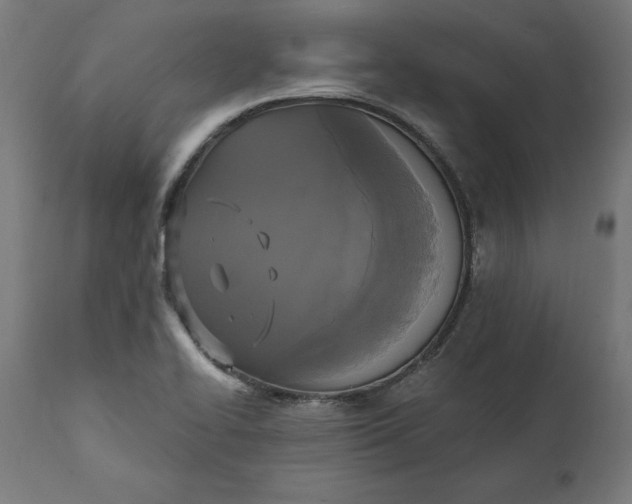 X0000111481414200907281152