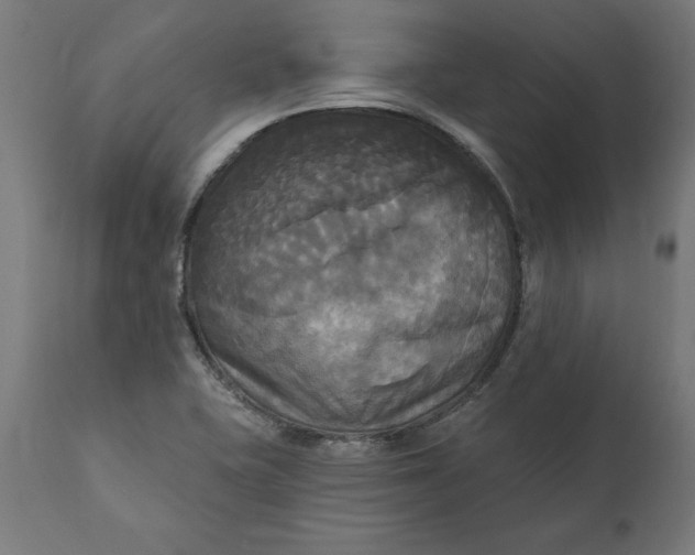 X0000111481415200907281152