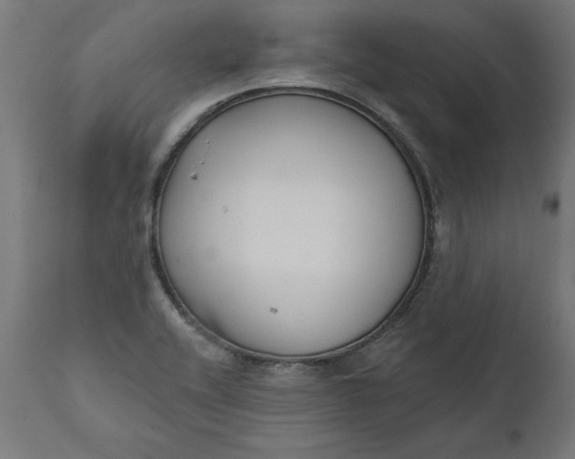 X0000111481416200907281152