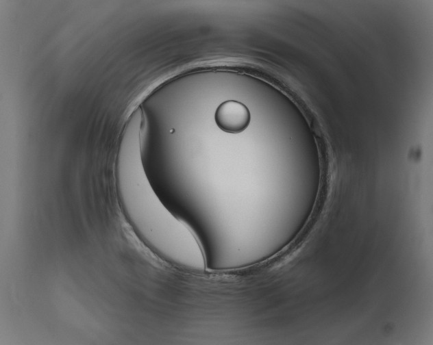 X0000111481417200907281152