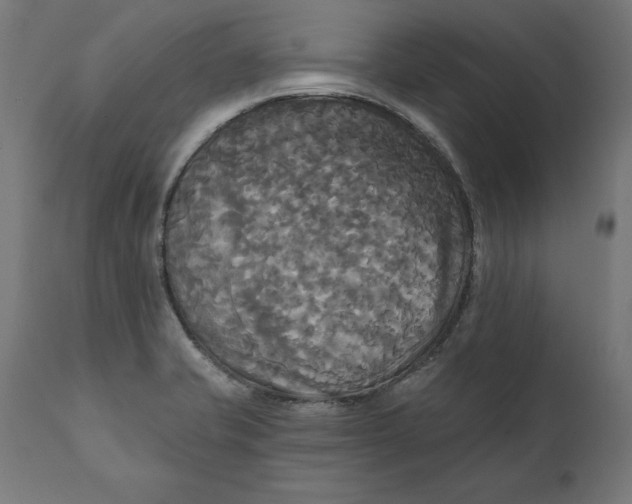 X0000111481421200907281152