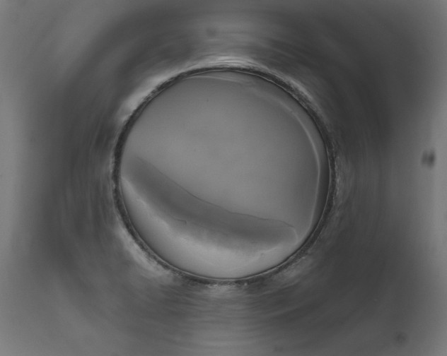 X0000111481422200907281152