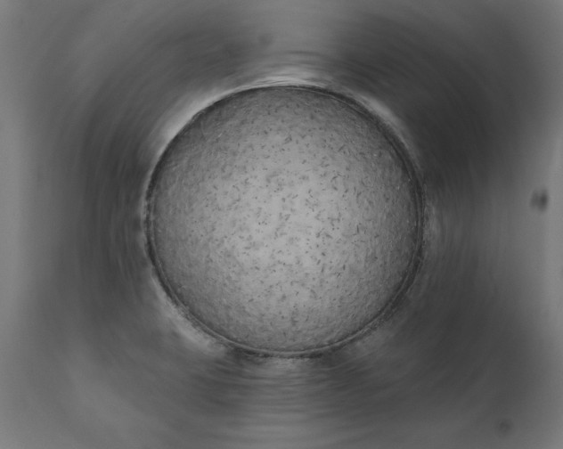 X0000111481423200907281152