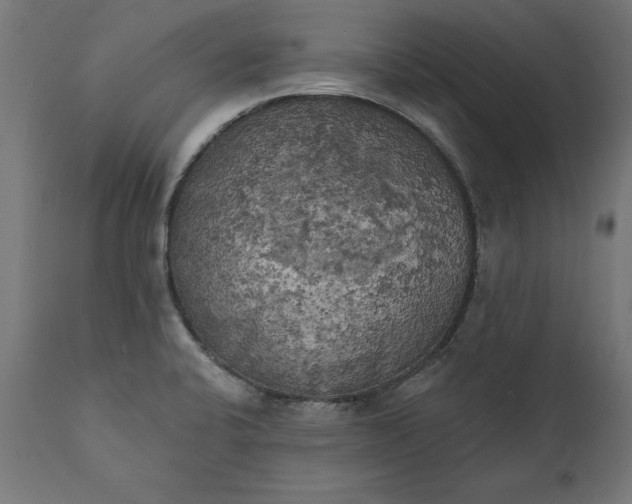 X0000111481424200907281152
