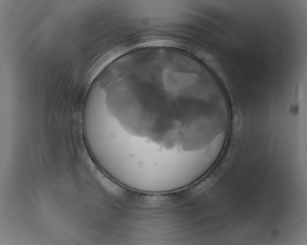 X0000111481425200907281152