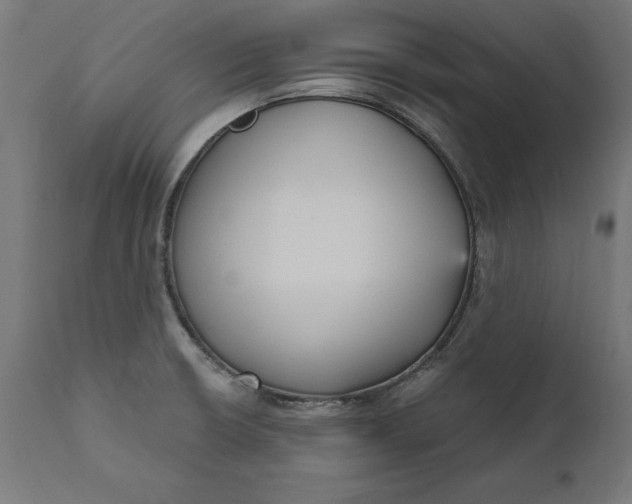X0000111481426200907281152
