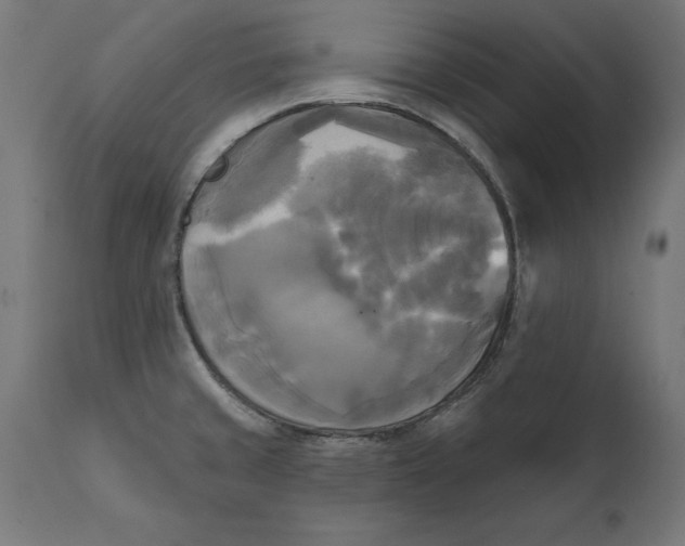 X0000111481429200907281152