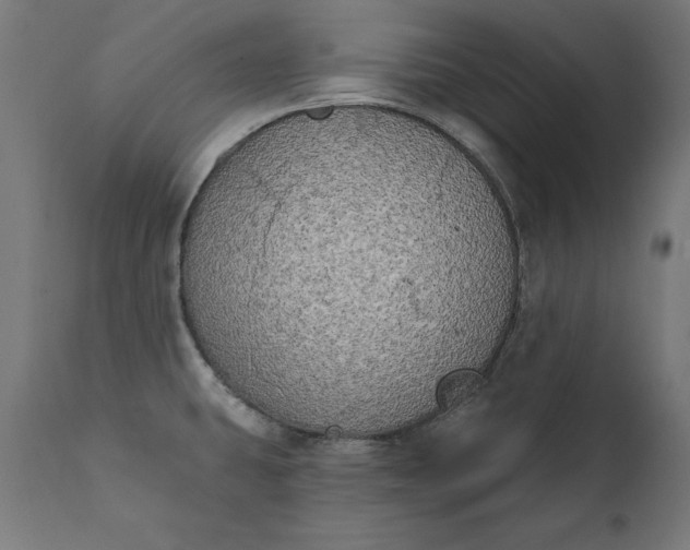 X0000111481431200907281152