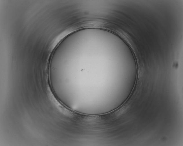 X0000111481434200907281152
