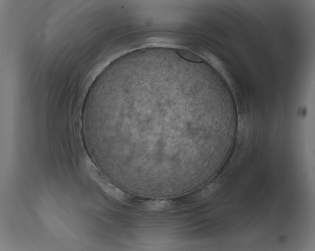 X0000111481435200907281152
